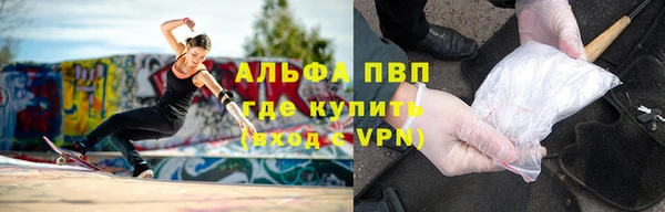 гашик Заводоуковск