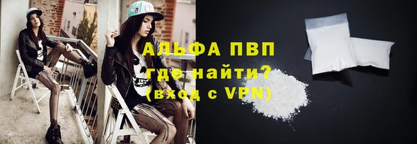 гашик Заводоуковск