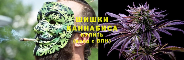 дживик Елабуга