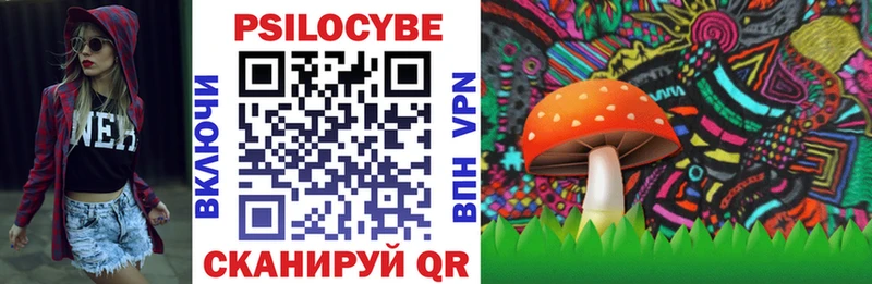 наркотики Будённовск Псилоцибиновые грибы Psilocybe