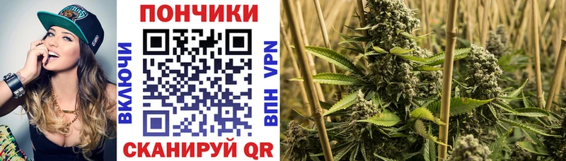 Канабис THC 21% цены Будённовск